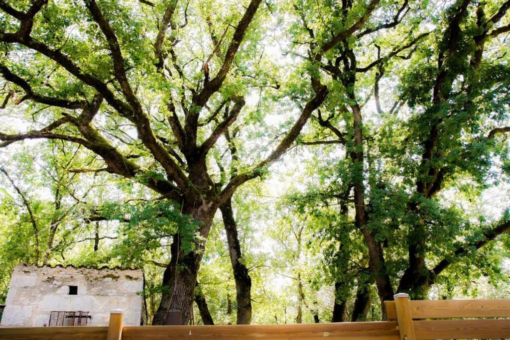 Вилла La Taniere Des Druides Luzech Экстерьер фото